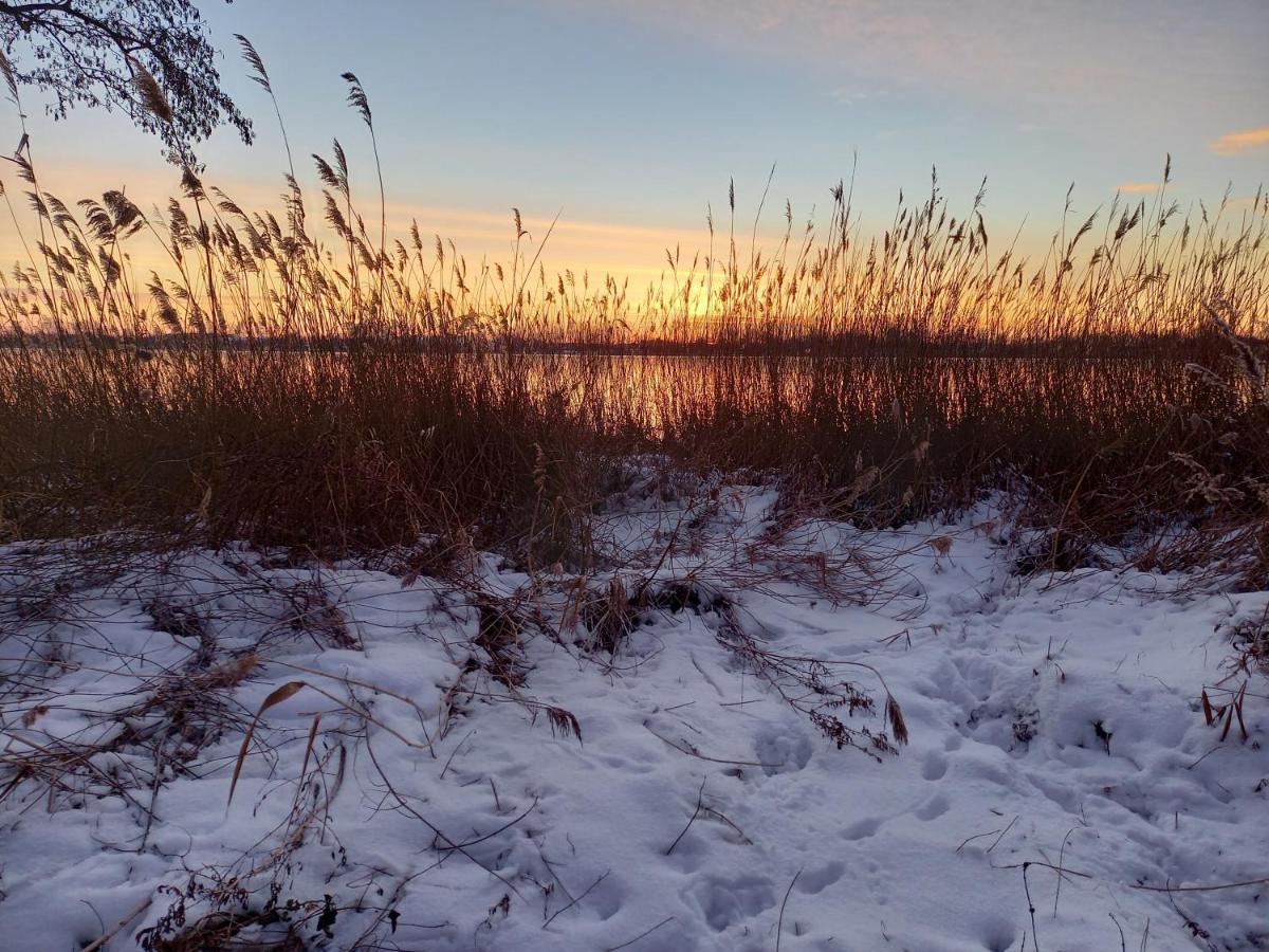 Het Zeepaartje, Knus En Gezellig Villa Noordwijkerhout Bagian luar foto