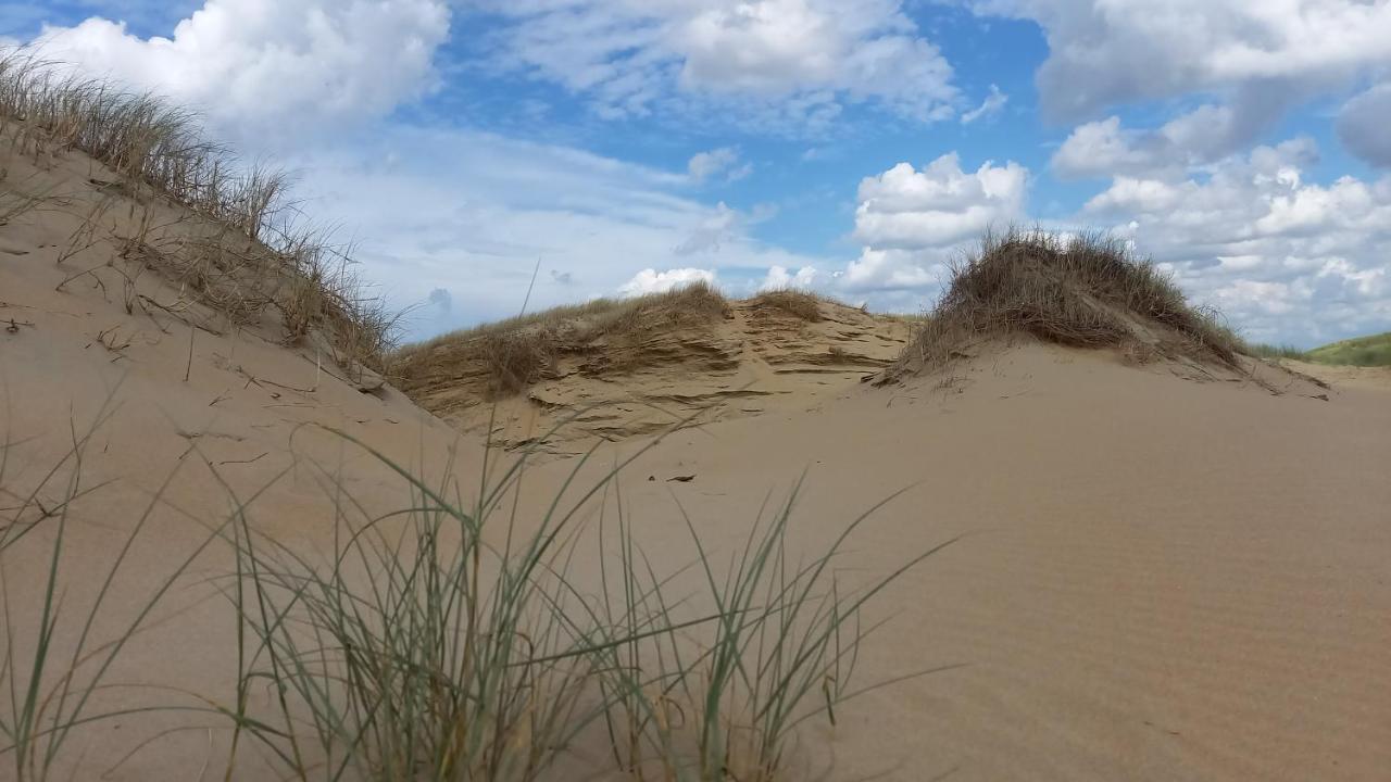 Het Zeepaartje, Knus En Gezellig Villa Noordwijkerhout Bagian luar foto