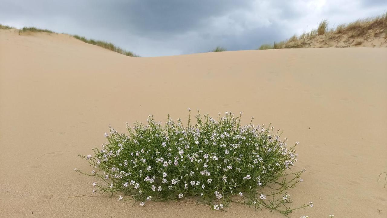 Het Zeepaartje, Knus En Gezellig Villa Noordwijkerhout Bagian luar foto